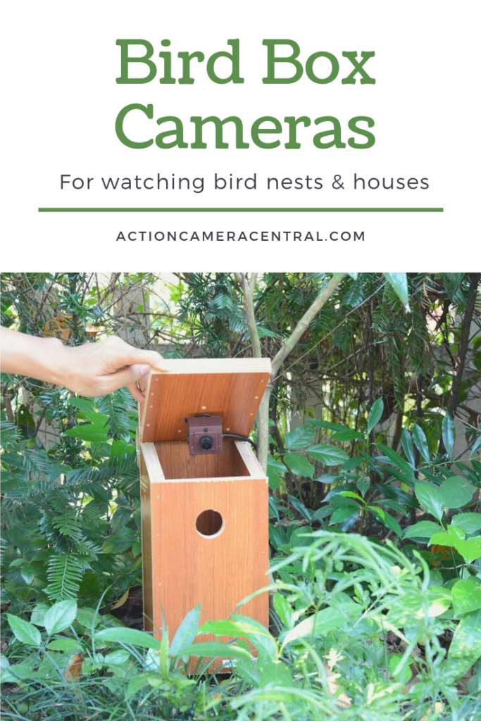 Best Bird Box Cameras for Nests & Birdhouses